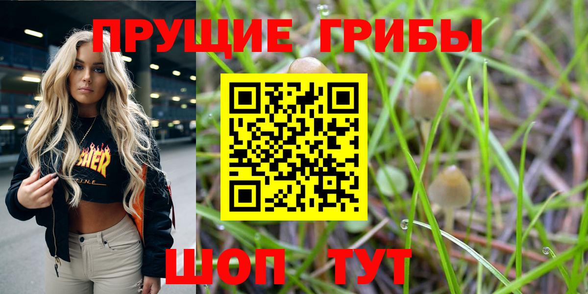 купить наркотики сайты  Вход с VPN  Бахчисарай  Псилоцибиновые грибы Psilocybine cubensis 